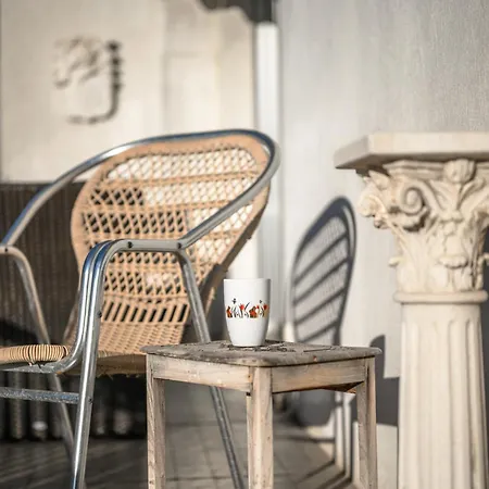 Terrasse Ensoleillee Sur Les Toits De 公寓 尼斯